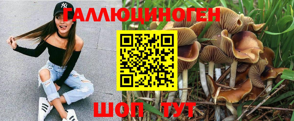 дарнет шоп  Вход с VPN  Псков  Галлюциногенные грибы Psilocybe 